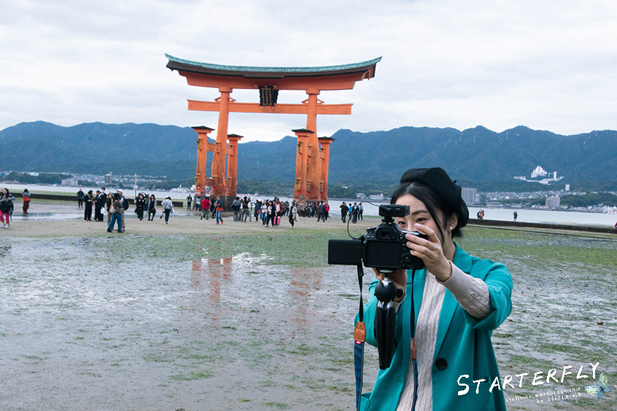 stellama_miyajima_4