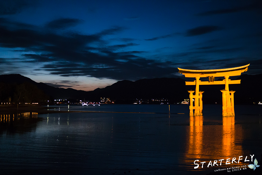 stellama_miyajima_6