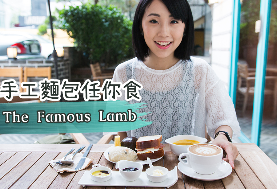 stellama_the-famous-lamb_feature